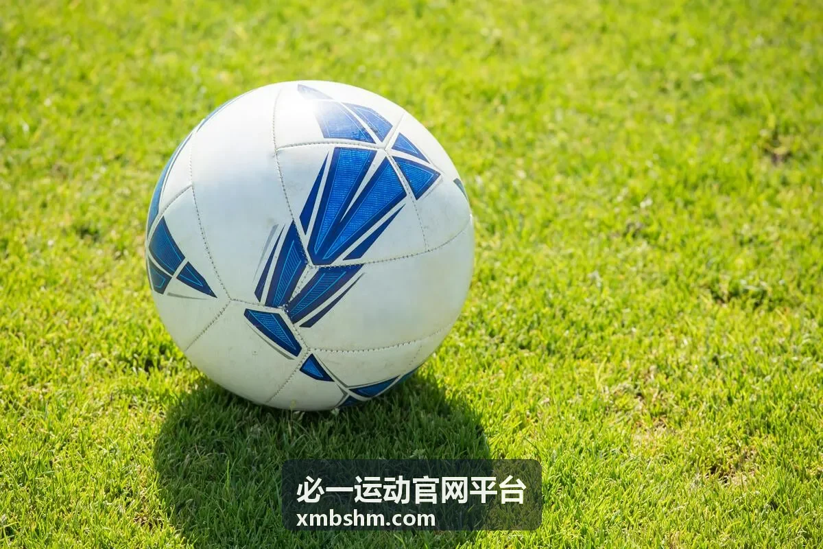 必一运动官网平台会员服务指引专题封面